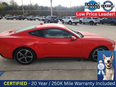 2024 Ford Mustang EcoBoost Premium