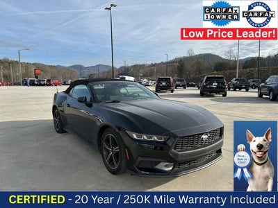 2024 Ford Mustang EcoBoost