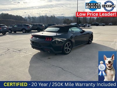 2024 Ford Mustang EcoBoost